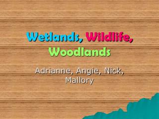 Wetlands, Wildlife, Woodlands