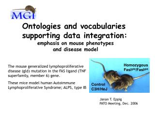 Ontologies and vocabularies supporting data integration: emphasis on mouse phenotypes