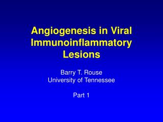 Angiogenesis in Viral Immunoinflammatory Lesions