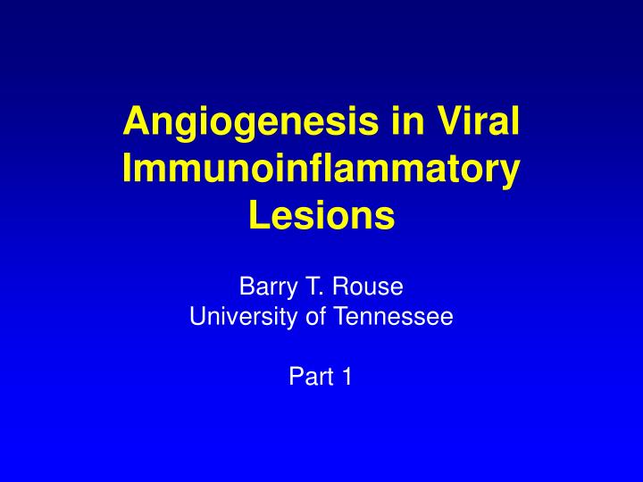 angiogenesis in viral immunoinflammatory lesions