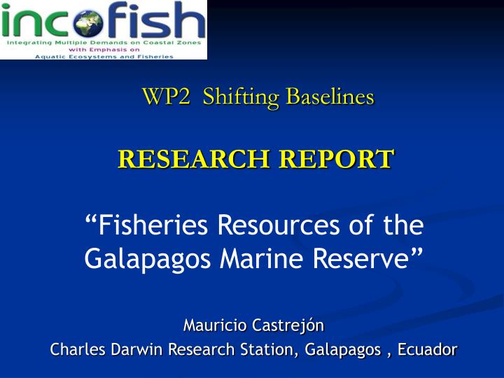 research report