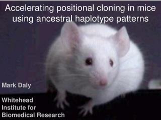 Accelerating positional cloning in mice using ancestral haplotype patterns
