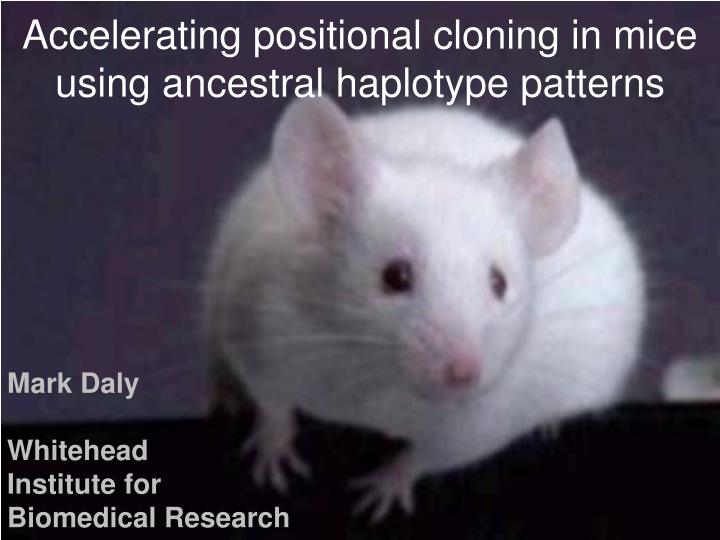 accelerating positional cloning in mice using ancestral haplotype patterns