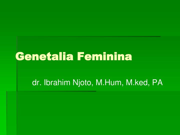 genetalia feminina