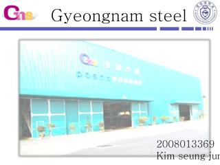 Gyeongnam steel