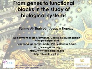 From genes to functional blocks in the study of biological systems
