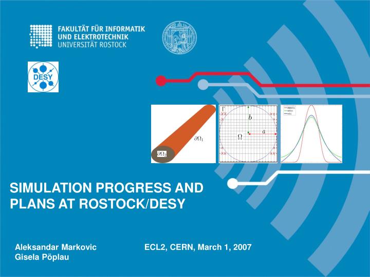 simulation progress and plans at rostock desy