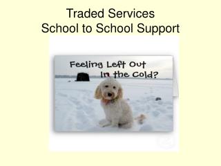 Traded Services School to School Support