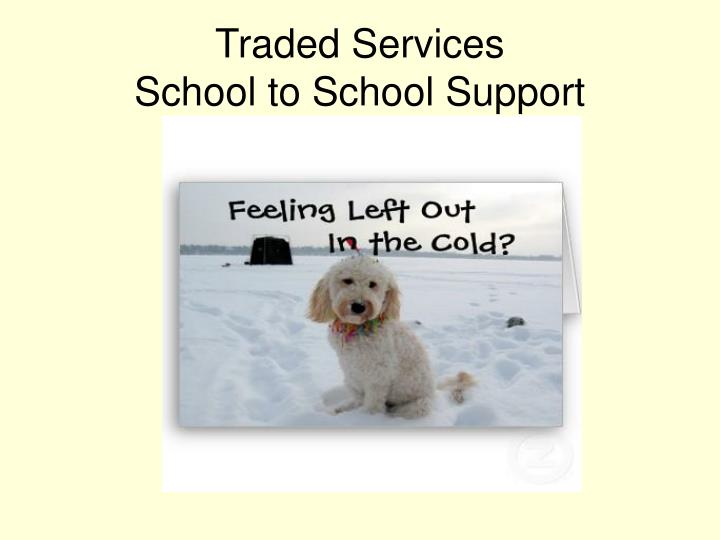 traded services school to school support