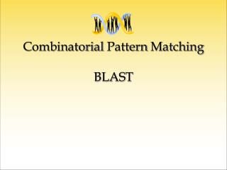 combinatorial pattern matching blast