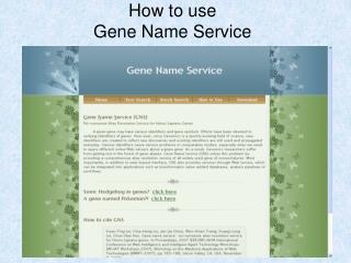 How to use Gene Name Service