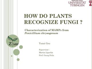 HOW DO PLANTS RECOGNIZE FUNGI ?