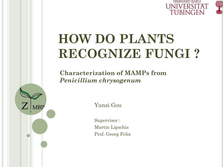 how do plants recognize fungi