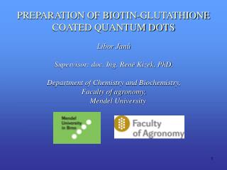 PREPARATION OF BIOTIN-GLUTATHIONE COATED QUANTUM DOTS