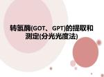 转氢酶(GOT、GPT)的提取和测定 (分光光度法 ) - slide 1