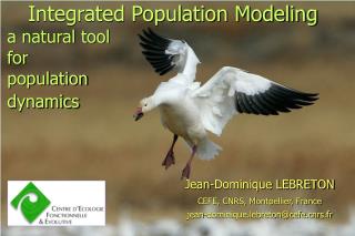 Integrated Population Modeling a natural tool for population dynamics