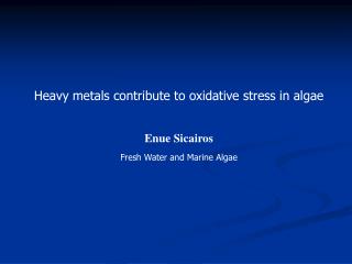 Heavy metals contribute to oxidative stress in algae Enue Sicairos Fresh Water and Marine Algae
