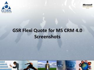 GSR Flexi Quote for MS CRM 4.0 Screenshots