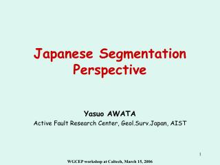 Japanese Segmentation Perspective