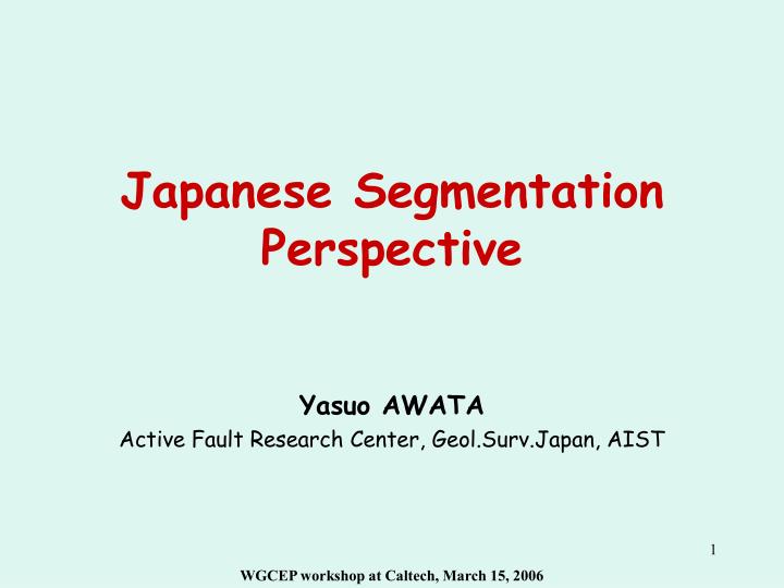 japanese segmentation perspective