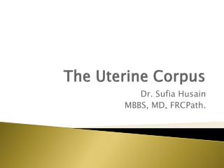 The Uterine Corpus