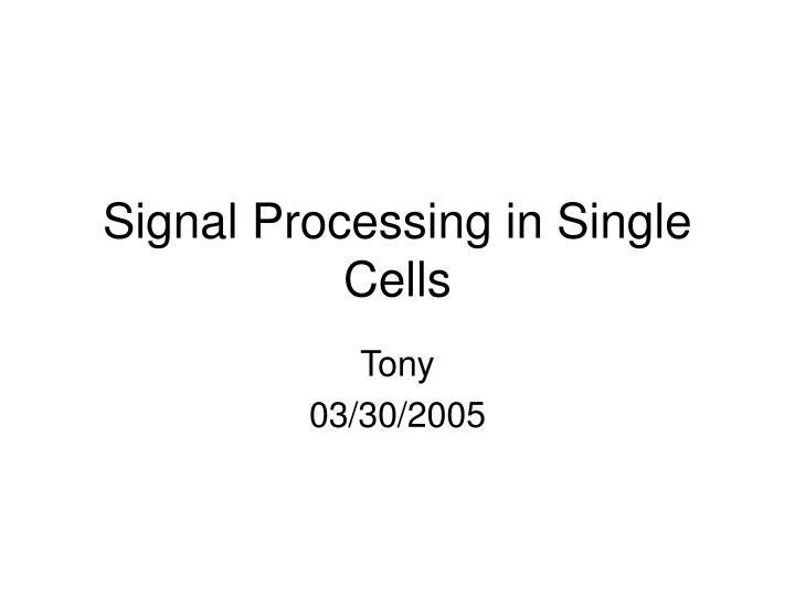 signal processing in single cells