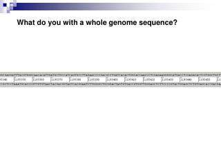 What do you with a whole genome sequence?