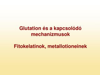 Glutation és a kapcsolódó mechanizmusok Fitokelatinok, metallotioneinek