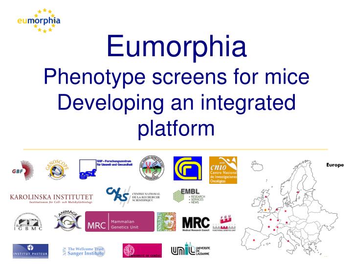 eumorphia phenotype screens for mice developing an integrated platform