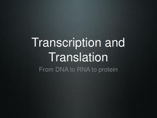 Transcription and Translation