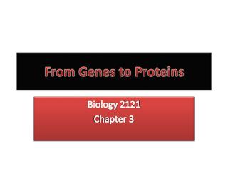 From Genes to Proteins