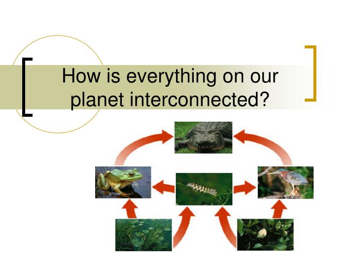how is everything on our planet interconnected