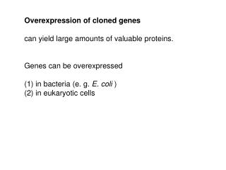Overexpression of cloned genes can yield large amounts of valuable proteins.