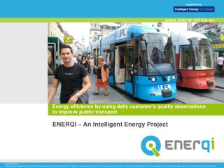 Energy efficiency by using daily customer's quality observations to improve public transport