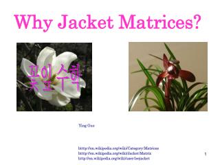 Why Jacket Matrices?