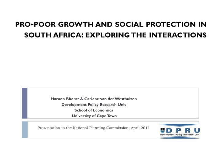pro poor growth and social protection in south africa exploring the interactions