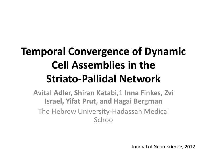 temporal convergence of dynamic cell assemblies in the striato pallidal network