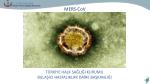 MERS- CoV - slide 1
