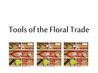 Tools of the Floral Trade