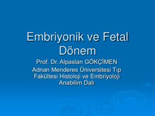 Embriyonik ve Fetal Dönem