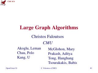 Large Graph Algorithms