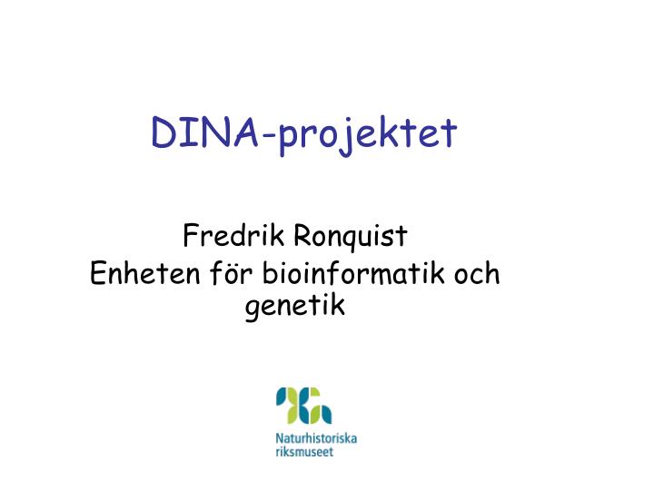 dina projektet