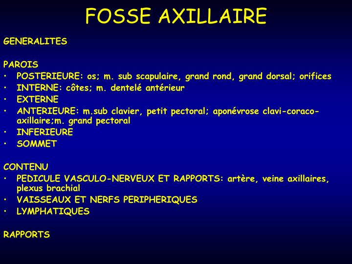 fosse axillaire