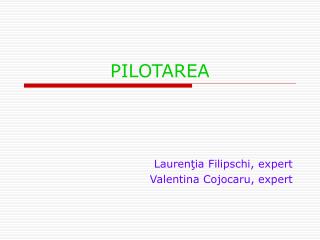 pilotarea