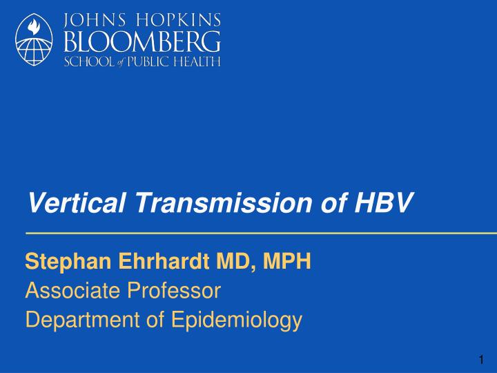 vertical transmission of hbv