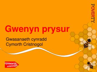 gwenyn prysur