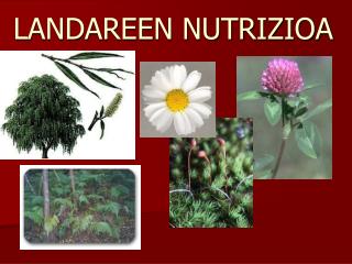 LANDAREEN NUTRIZIOA