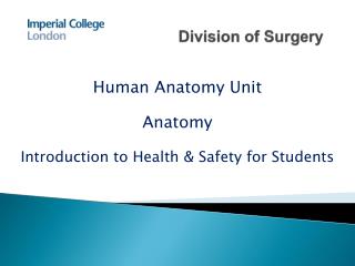 Division of Surgery