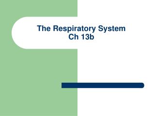 The Respiratory System Ch 13b