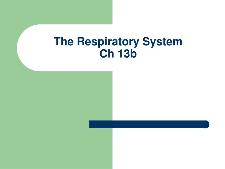 the respiratory system ch 13b